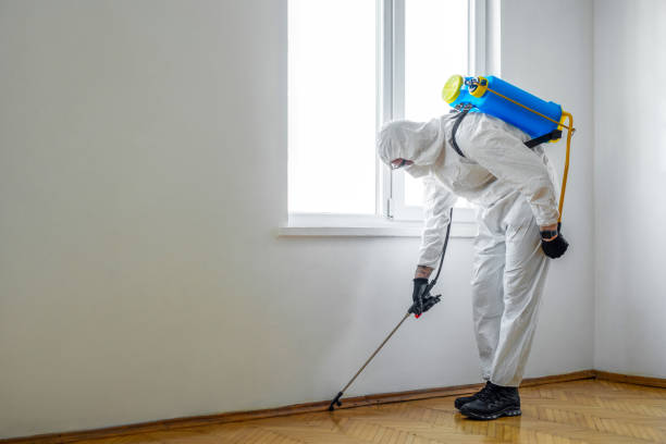 Pest Control for Restaurants in Centreville, MI